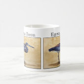 Louisiana Heron (Egretta tricolor) Koffiemok (Center)