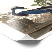 Louisiana Heron from Birds of America (1827) Foto Afdruk (Hoek)