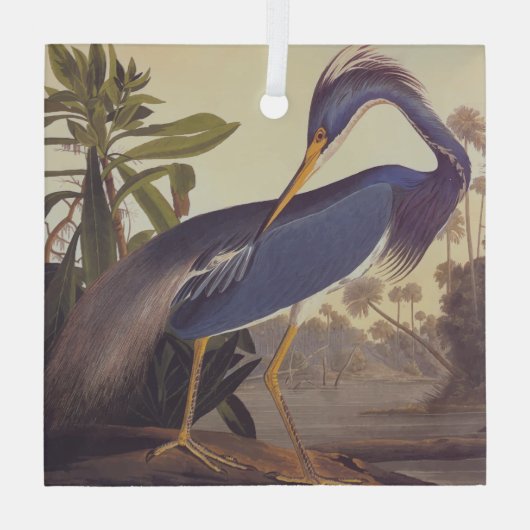 Louisiana Heron Glas Ornament (Achterkant)