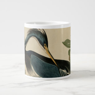 Louisiana Heron Grote Koffiekop