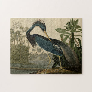 Louisiana Heron Legpuzzel