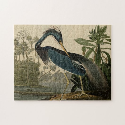 Louisiana Heron Legpuzzel (Horizontaal)