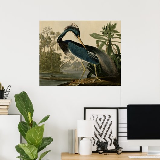 Louisiana Heron Poster (Thuiskantoor)