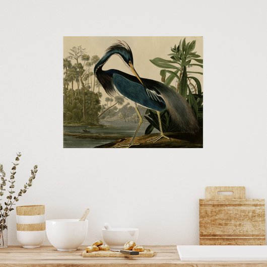 Louisiana Heron Poster (Keuken)