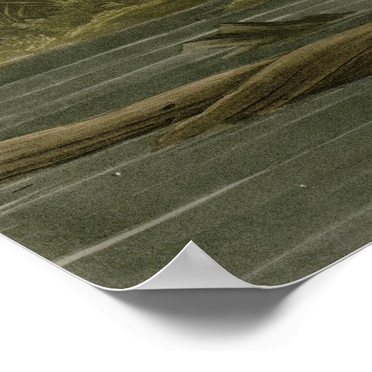 Louisiana Heron Poster (Hoek)