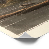 Louisiana Heron uit de vogelstand van Amerika (182 Poster (Hoek)