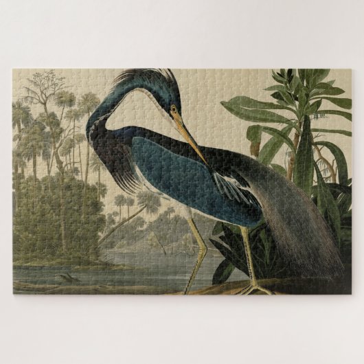 Louisiana Heron - van de Amerikaanse vogels van Au Legpuzzel (Horizontaal)