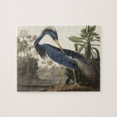 Louisiana Heron van de vogels van Amerika Legpuzzel (Horizontaal)