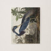 Louisiana Heron van de vogels van Amerika Legpuzzel (Verticaal)