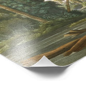 Louisiana Heron van John James Audubon Foto Afdruk (Hoek)