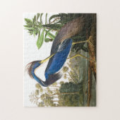 Louisiana Heron van John James Audubon Legpuzzel (Verticaal)