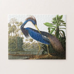 Louisiana Heron van John James Audubon Legpuzzel