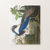 Louisiana Heron van John James Audubon Legpuzzel (Verticaal)