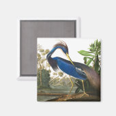 Louisiana Heron van John James Audubon Magneet (Voorkant / Achterkant)