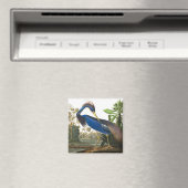Louisiana Heron van John James Audubon Magneet (Insitu (Vaatwasser))