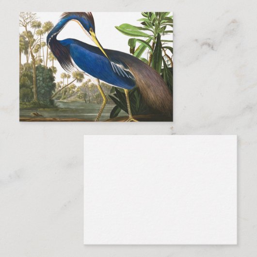 Louisiana Heron van John James Audubon Notitiekaartje (Voorkant / Achterkant)