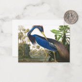 Louisiana Heron van John James Audubon Notitiekaartje (Voorkant / Achterkant in situ)