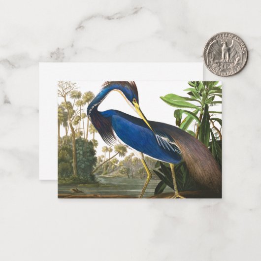 Louisiana Heron van John James Audubon Notitiekaartje (Voorkant / Achterkant in situ)