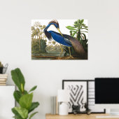 Louisiana Heron van John James Audubon Poster (Thuiskantoor)