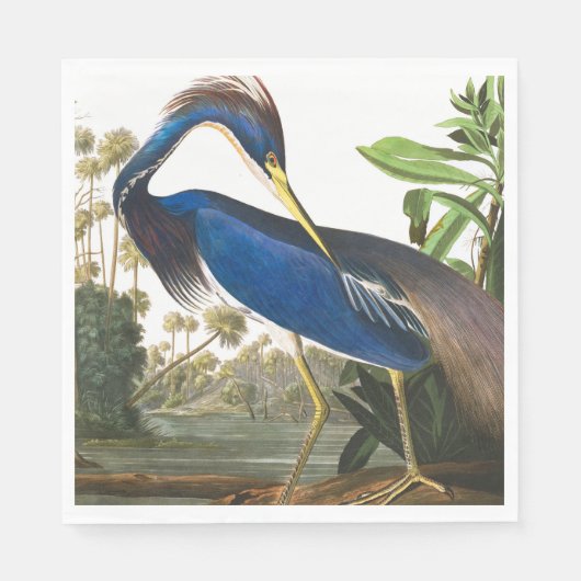 Louisiana Heron van John James Audubon Servet (Voorkant)