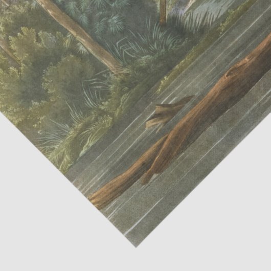 Louisiana Heron van John James Audubon Tissuepapier (Detail)