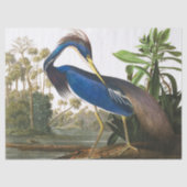 Louisiana Heron van John James Audubon Tissuepapier (Voorkant)