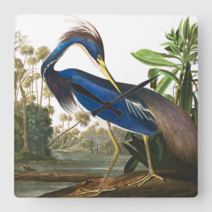 Louisiana Heron van John James Audubon Vierkante Klok