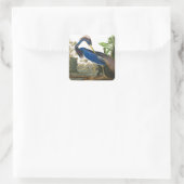 Louisiana Heron van John James Audubon Vierkante Sticker (Tas)
