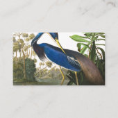 Louisiana Heron van John James Audubon Visitekaartje (Voorkant)