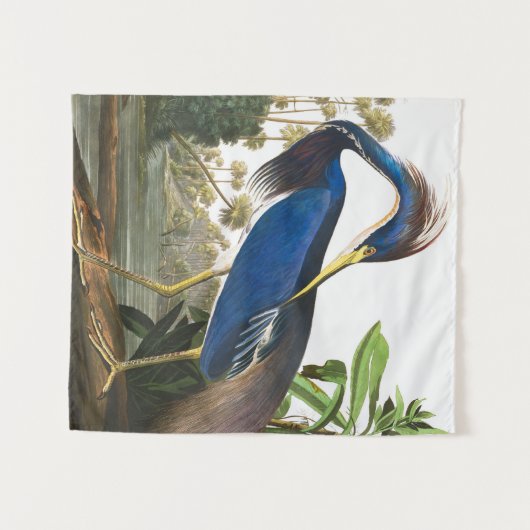 Louisiana Heron van John James Audubon Wandkleed (Voorkant (horizontaal))
