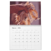 Louisiana-kaarten en fotografie-agenda kalender (Feb 2026)