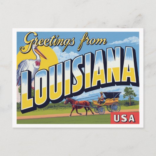 Louisiana Koets Pelikaan Briefkaart (Voorkant)