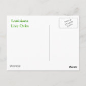 LOUISIANA LEVENDE OAK BOMEN BRIEFKAART (Achterkant)