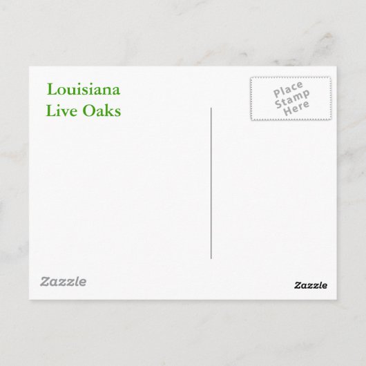 LOUISIANA LEVENDE OAK BOMEN BRIEFKAART (Achterkant)
