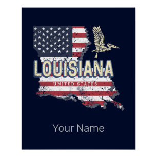 Louisiana met Pelikaan Vintage USA-ontwerp Perfect Poster