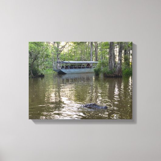 Louisiana Moeras Tour Canvas Print (Voorkant)