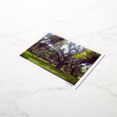 Louisiana Oak Tree Postcard Folie Feestdagen Briefkaart (Gedraaid)
