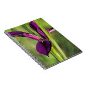 Louisiana Paars Gamecock Iris Notitieboek (Rechterzijde)