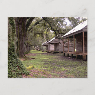 Louisiana Plantation Briefkaart