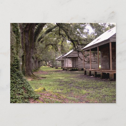 Louisiana Plantation Briefkaart (Voorkant)