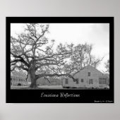Louisiana Reflections Poster (Voorkant)