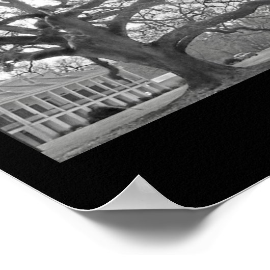 Louisiana Reflections Poster (Hoek)