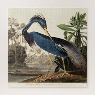 Louisiana Reiger uit Birds of America Legpuzzel