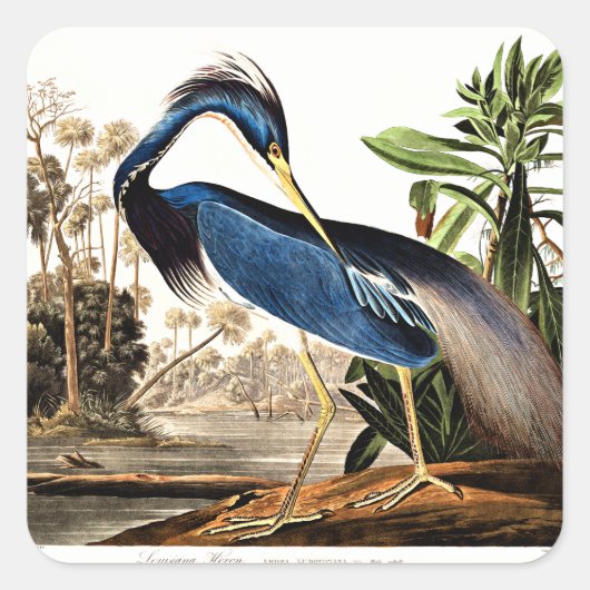 Louisiana Reiger Vierkante Sticker (Voorkant)