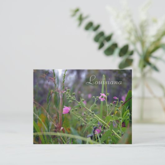Louisiana roze bloemen briefkaart (Staand voorkant)