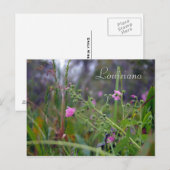 Louisiana roze bloemen briefkaart (Voorkant / Achterkant)