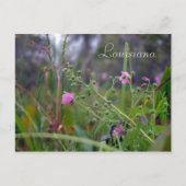 Louisiana roze bloemen briefkaart (Voorkant)