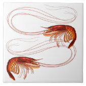 Louisiana Shrimp Tegeltje (Voorkant)