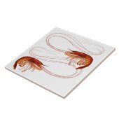 Louisiana Shrimp Tegeltje (Zijkant)