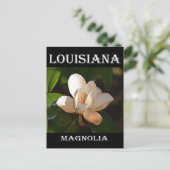 Louisiana Southern Magnolia Briefkaart (Staand voorkant)